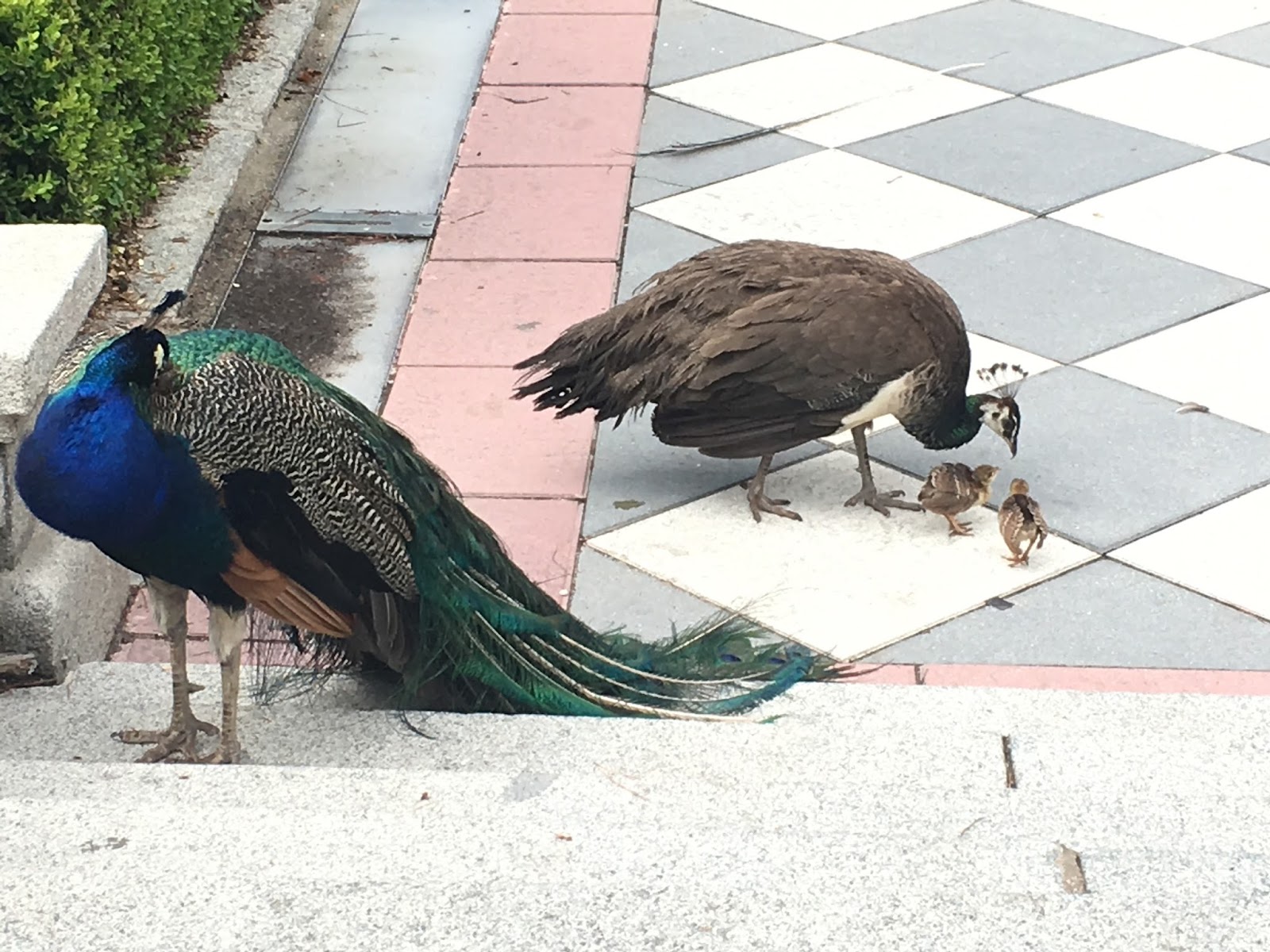 A family we met in Madrid