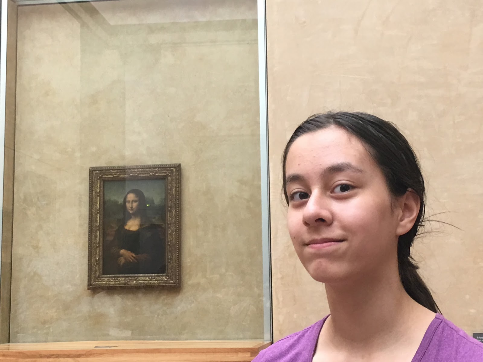 The well-protected Mona Lisa